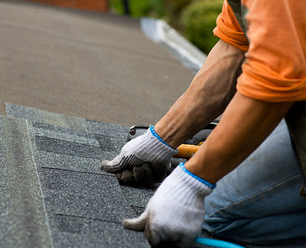 Best Storm Damage Roof Repair  in Towamensing Trails, PA